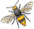 Wiltshire Pest Control Bee