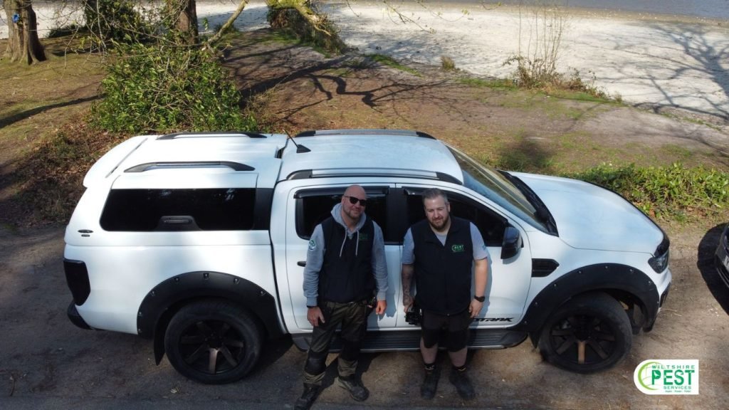 What pests are common in Warminster homes?