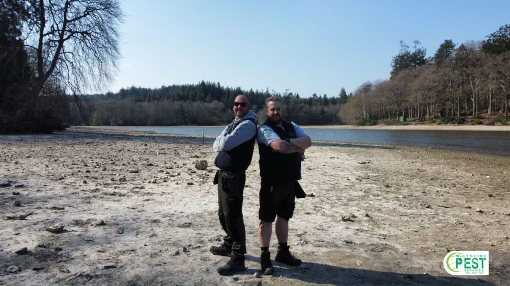 What pests are common in Warminster homes?